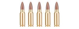 SG-06 DUMMY 7.62MM AK47 BULLETS